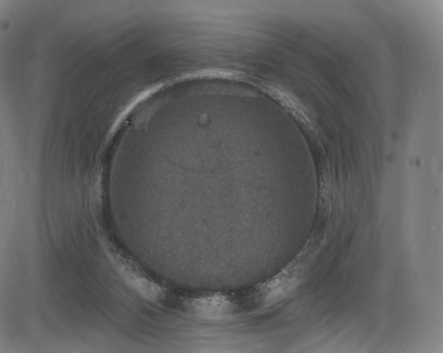 X0000085260112200703091334