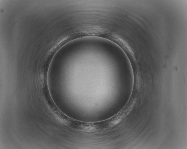 X0000085260113200703091334