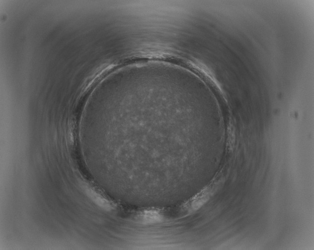 X0000085260114200703091334