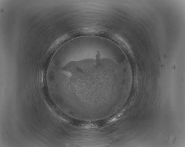 X0000085260115200703091334