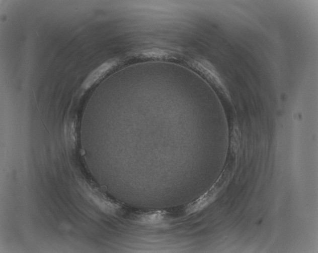 X0000085260116200703091334