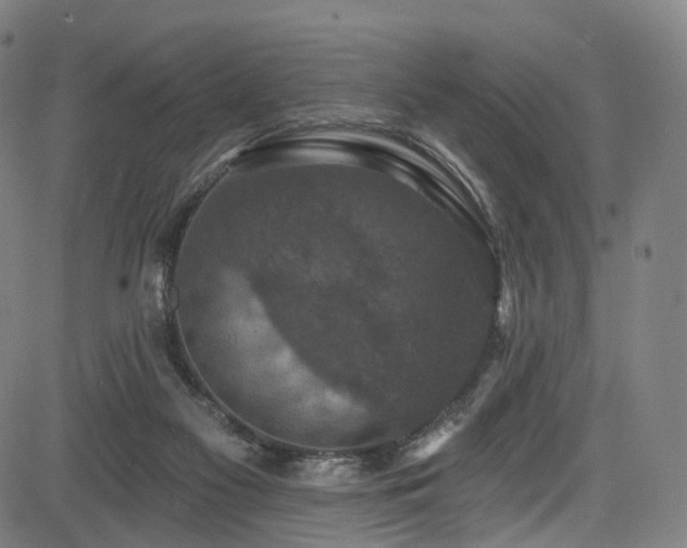 X0000085260117200703091334