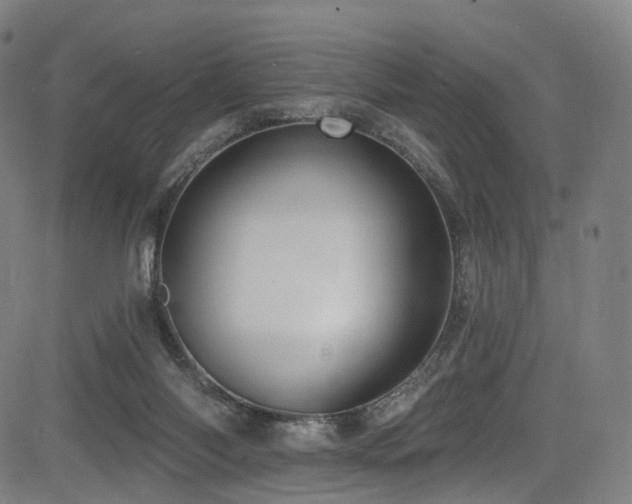 X0000085260118200703091333