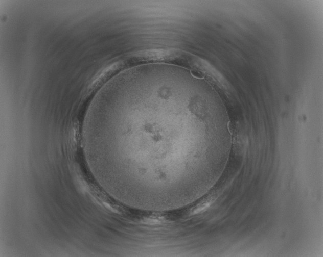 X0000085260119200703091333