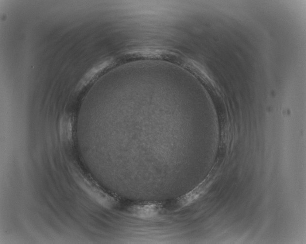 X0000085260120200703091333