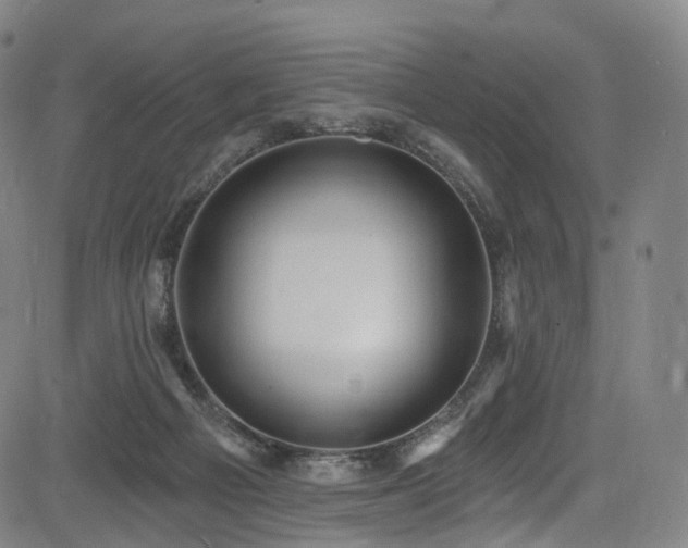 X0000085260121200703091333