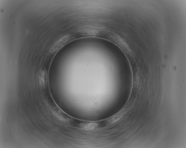 X0000085260122200703091333