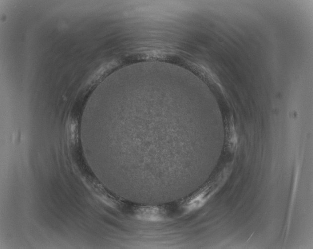 X0000085260123200703091333