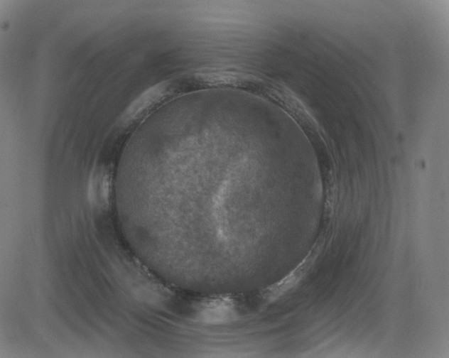 X0000085260124200703091333