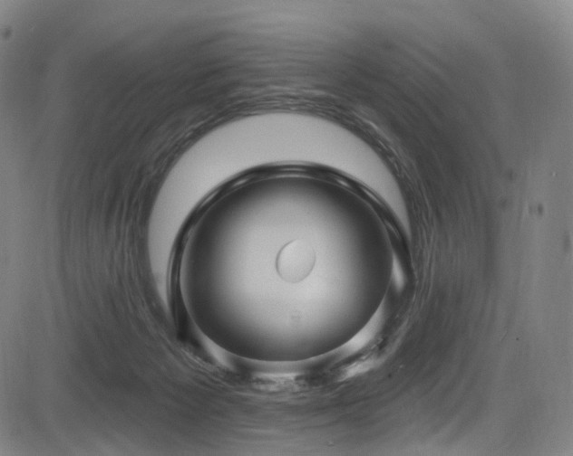 X0000085260125200703091333