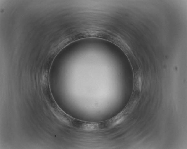 X0000085260126200703091333