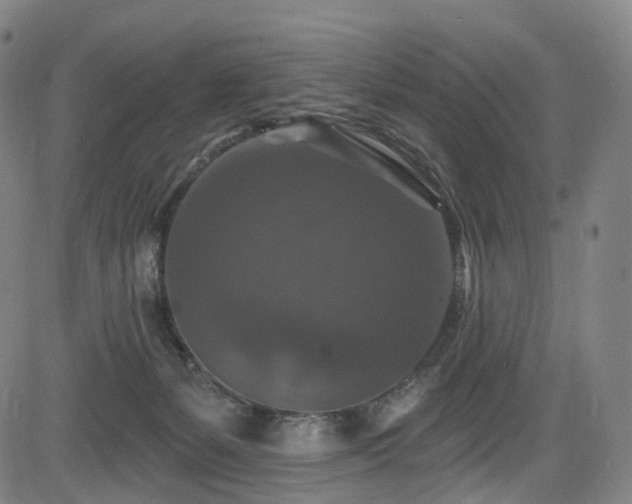 X0000085260127200703091333