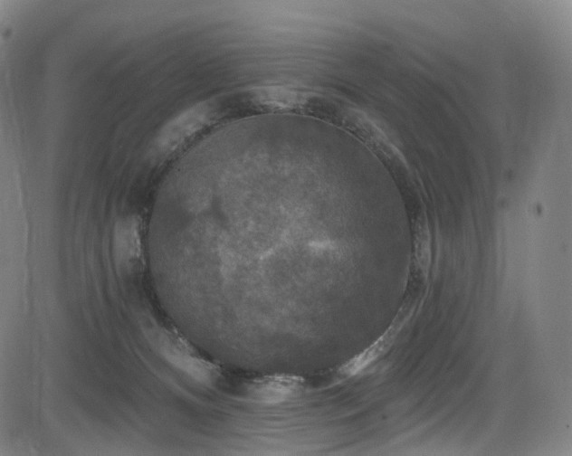 X0000085260128200703091333