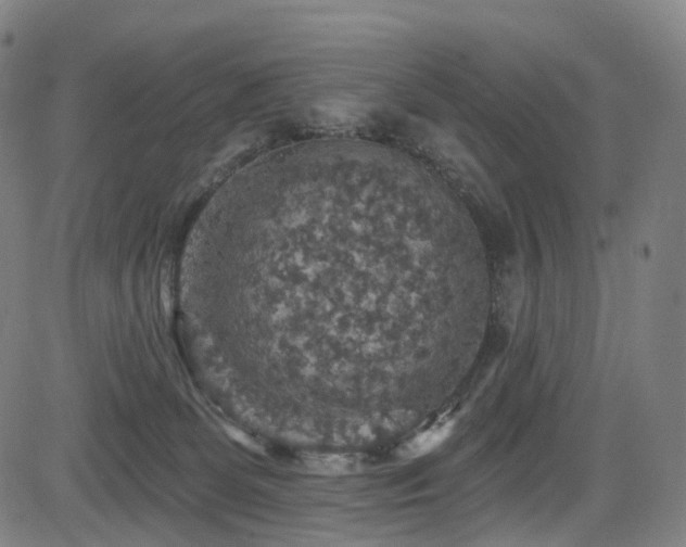 X0000085260131200703091333