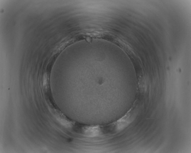 X0000085260132200703091333