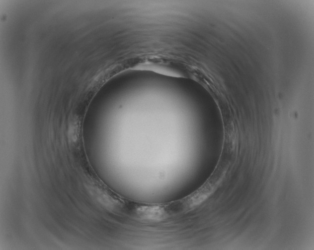 X0000085260133200703091333