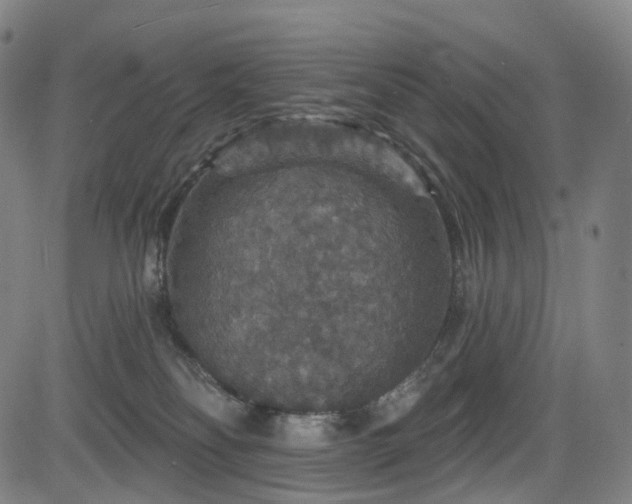 X0000085260134200703091333