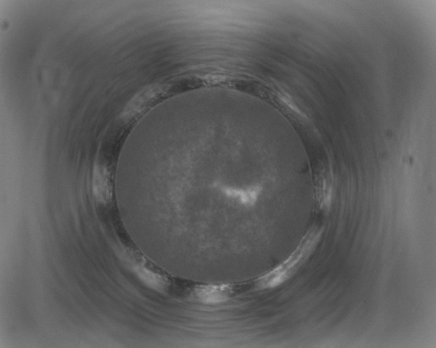 X0000085260136200703091333