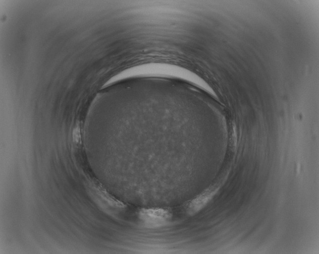 X0000085260137200703091333