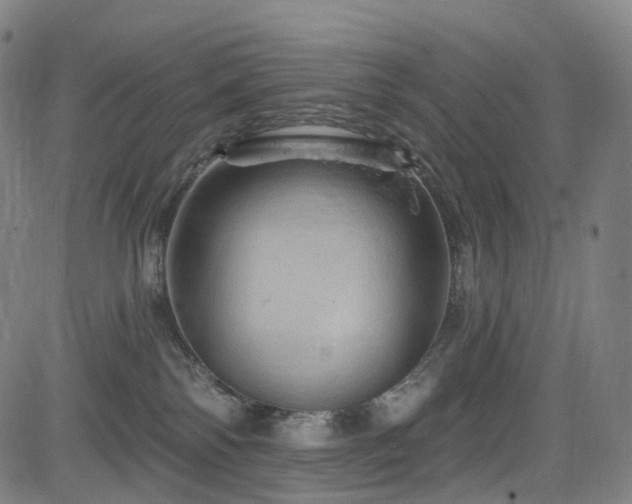 X0000085260138200703091333