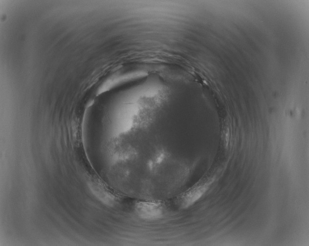 X0000085260139200703091333