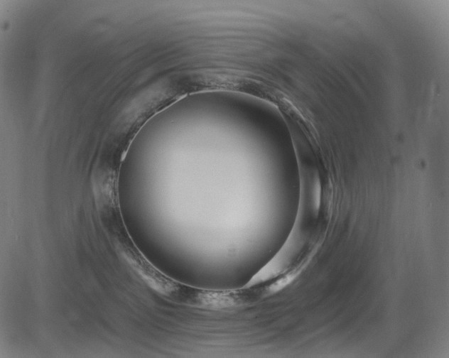 X0000085260141200703091333