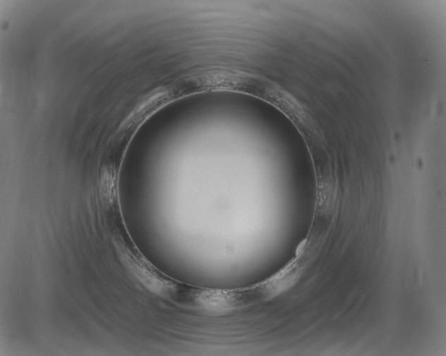 X0000085260142200703091333