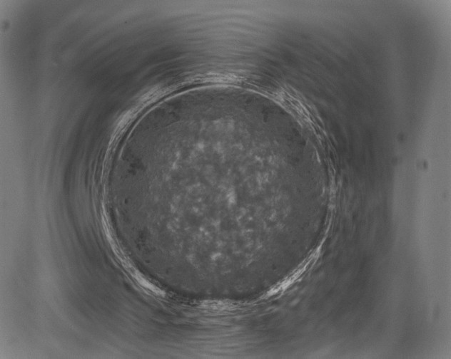 X0000085260145200703091332