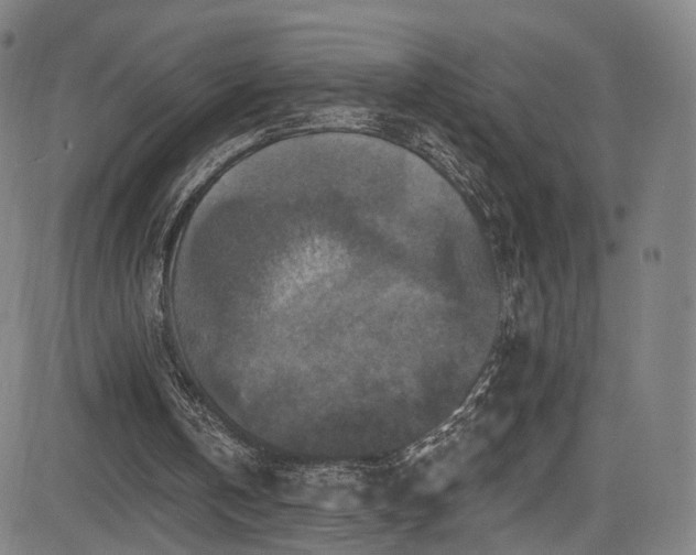 X0000085260146200703091332