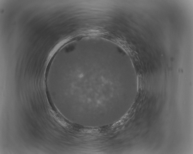 X0000085260147200703091332