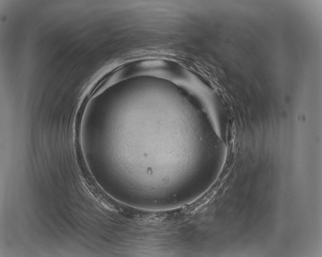 X0000085260148200703091332