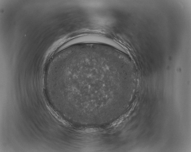 X0000085260149200703091332