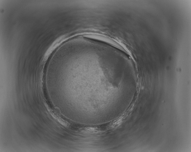 X0000085260151200703091332