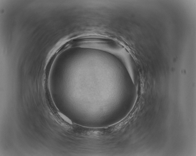 X0000085260152200703091332