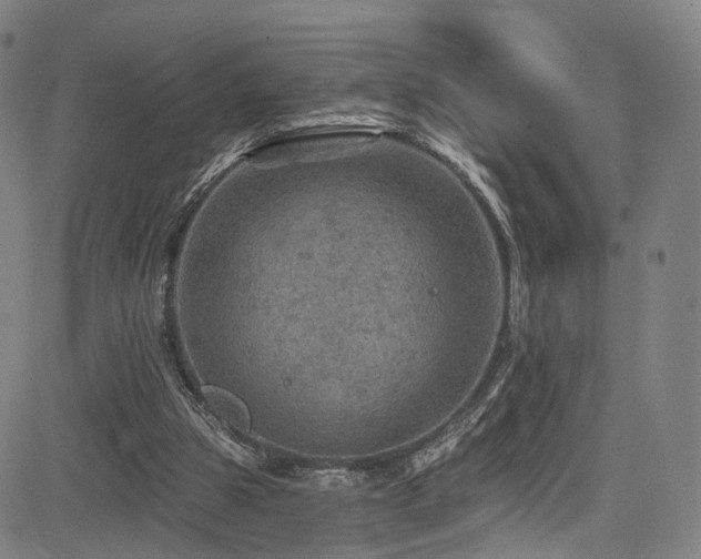 X0000085260153200703091332