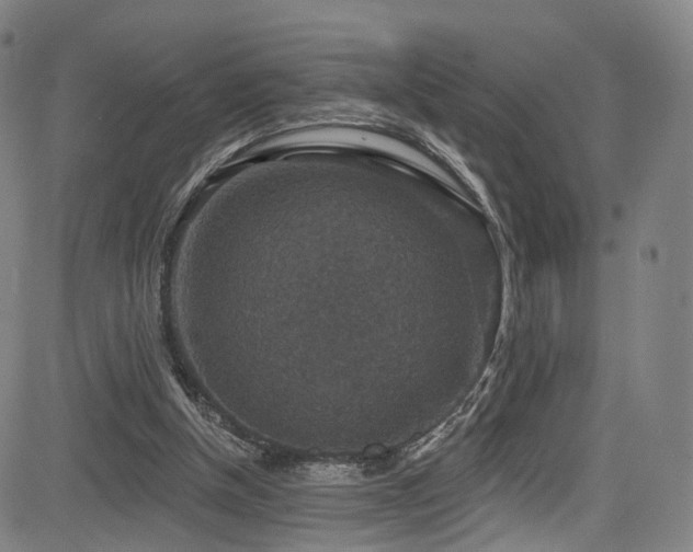 X0000085260154200703091332