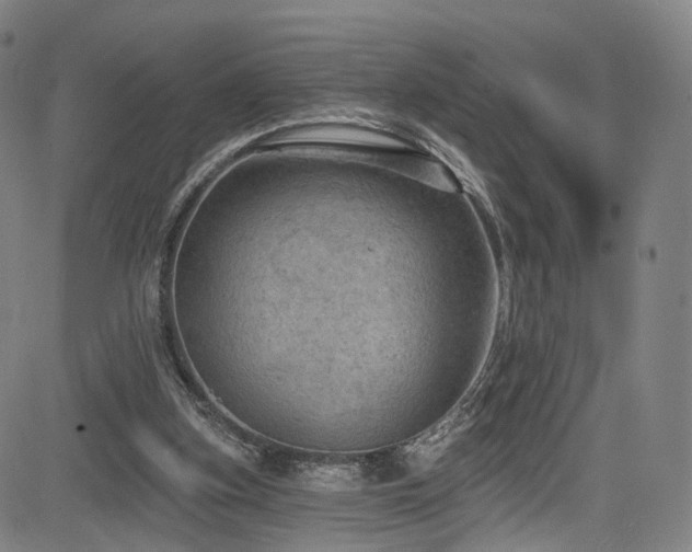 X0000085260155200703091332