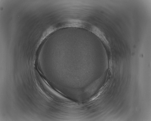 X0000085260156200703091332