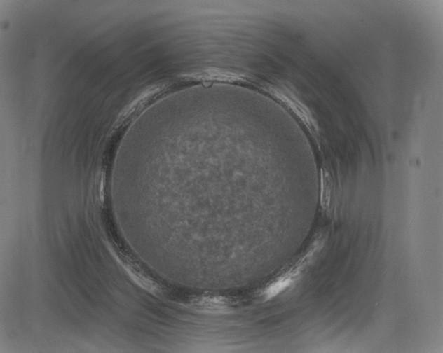 X0000085260157200703091332