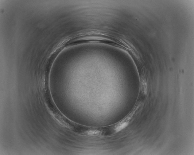 X0000085260158200703091332