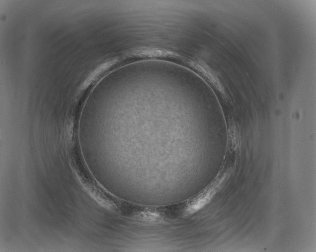 X0000085260159200703091332