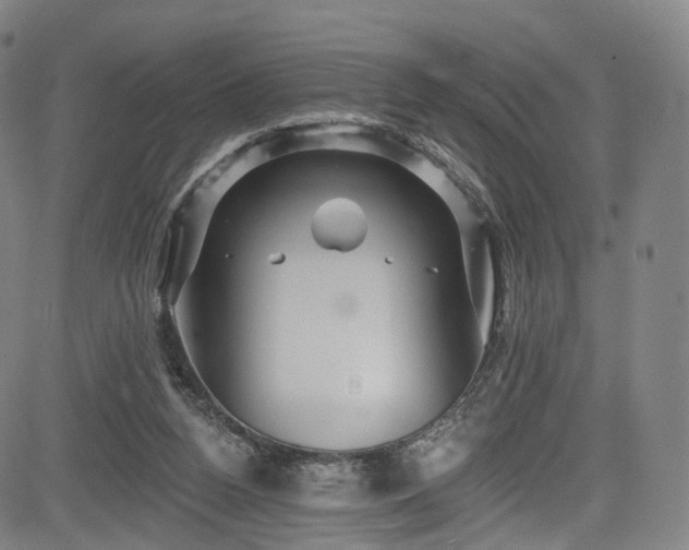 X0000085260160200703091333