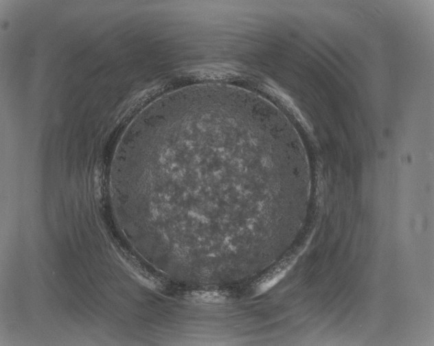 X0000085260161200703091333