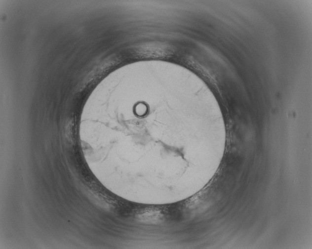 X0000085260162200703091333