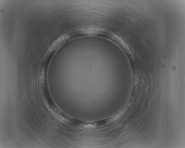 X0000085260163200703091333