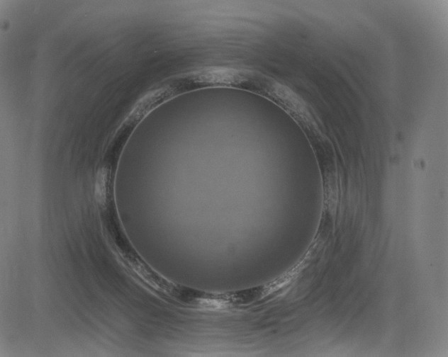 X0000085260167200703091333