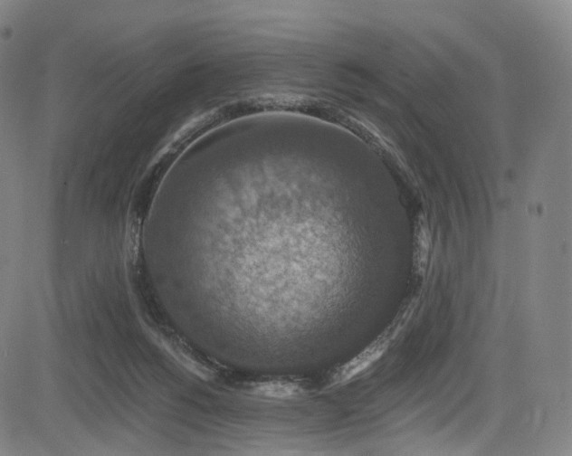 X0000085260168200703091333