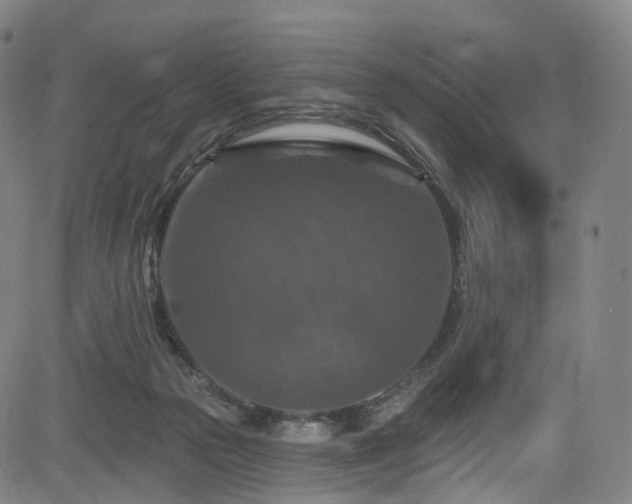 X0000085260169200703091333