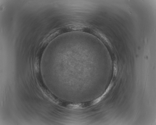 X0000085260170200703091333