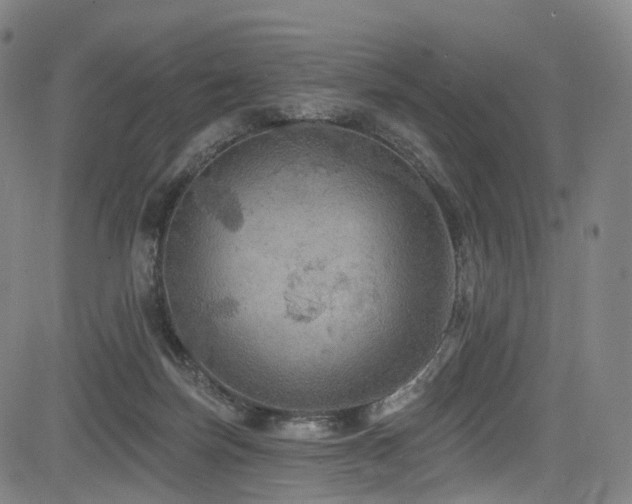 X0000085260171200703091333